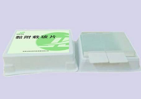 液基细胞分析仪黏附载玻片